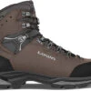 Lowa Camino Evo GTX Shoes - Men's