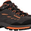 Lowa Delago GTX Lo Hiking Boots - Men's