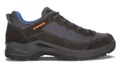 Lowa Taurus Pro GTX Lo Shoes - Men's